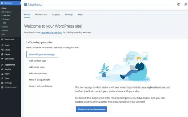 Bluehost WordPress dashboard for blogging